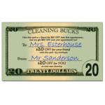 20_cleaning_bucks400.jpg