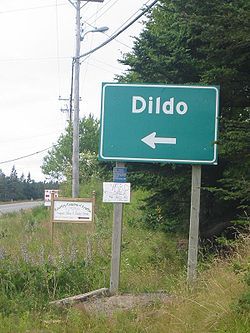 250px-DildoNewfoundland_zps5to1j3pu.jpg