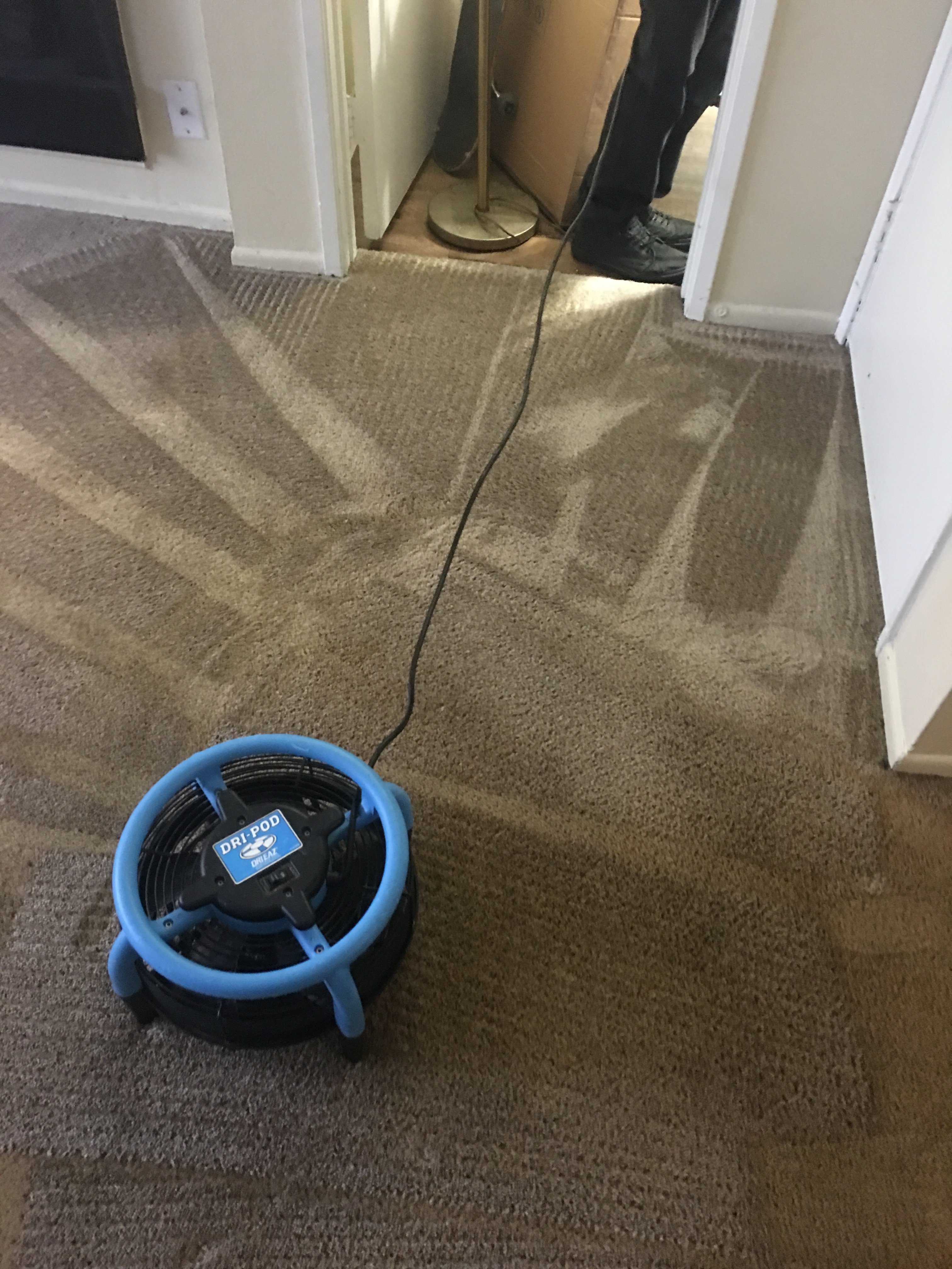 54F047FA-03A6-4836-9361-24ED9786AEC5.jpeg