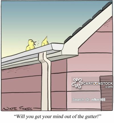 animals-birds-roof-gutters-bird-dirty_minds-nfkn165_low.jpg
