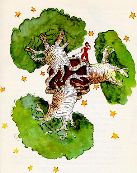 baobab.jpg