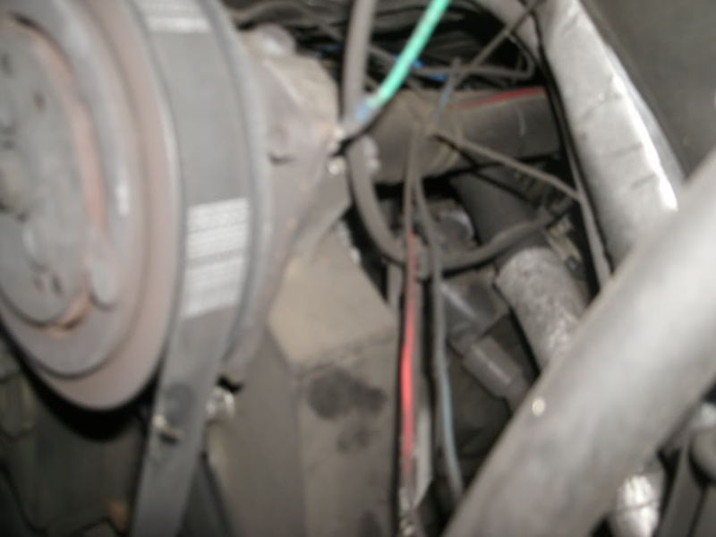 BeforeandAfterLateMayandJune091.jpg