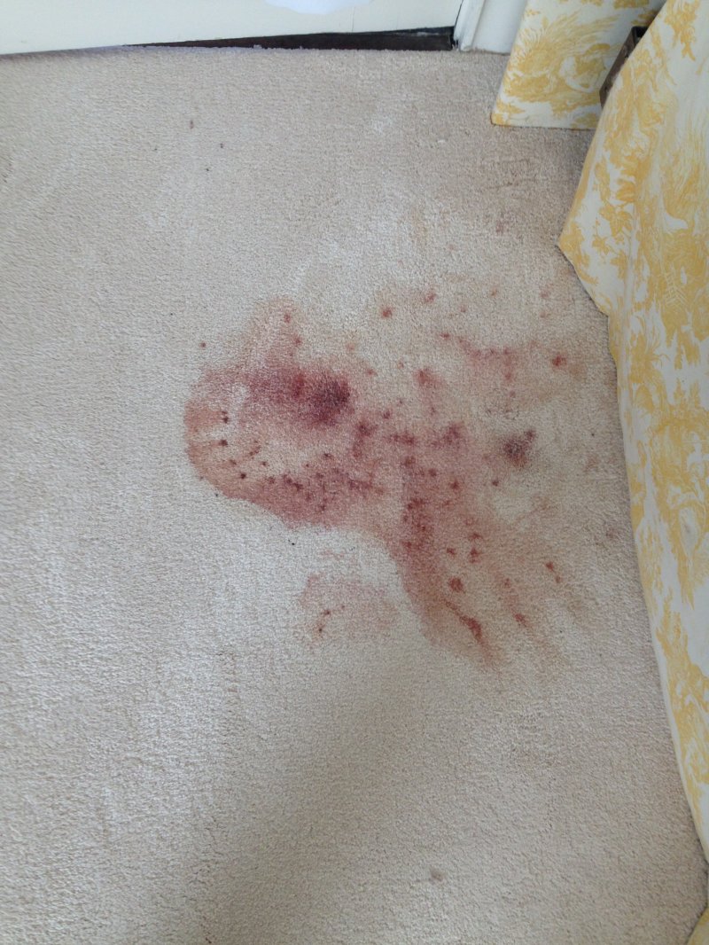 Blood 1.JPG