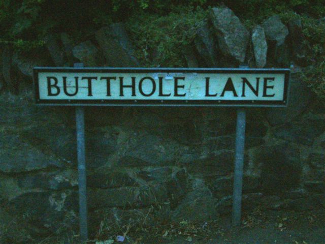 butthole_lane.jpg