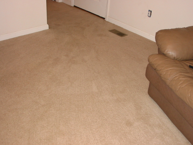 carpet-after.jpg