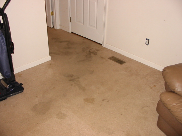 carpet-before.jpg