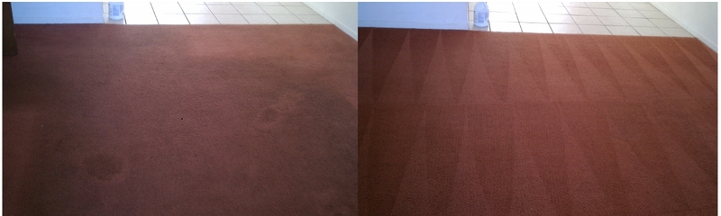 carpet-cleaning-5.11.10.jpg