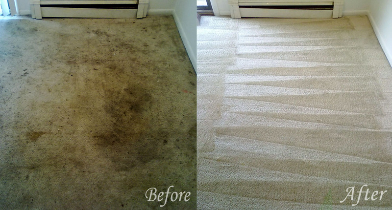 carpet-cleaning-before-and-after-chicago-il-cornelia-carpet-cleaning.jpg