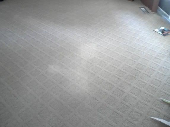 carpet.jpg