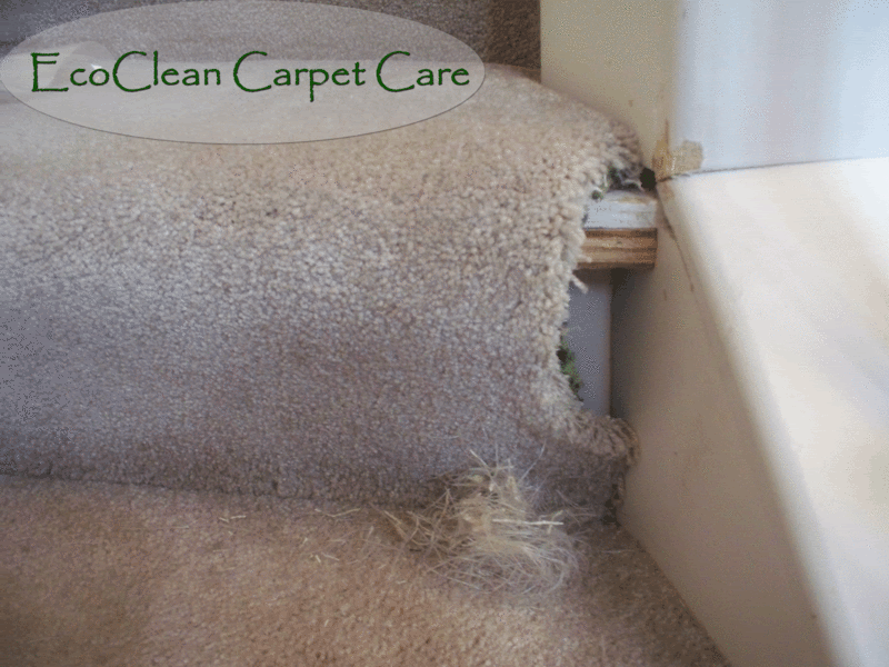 carpet-repair-step.gif