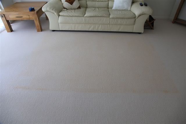 carpet_before002.jpg