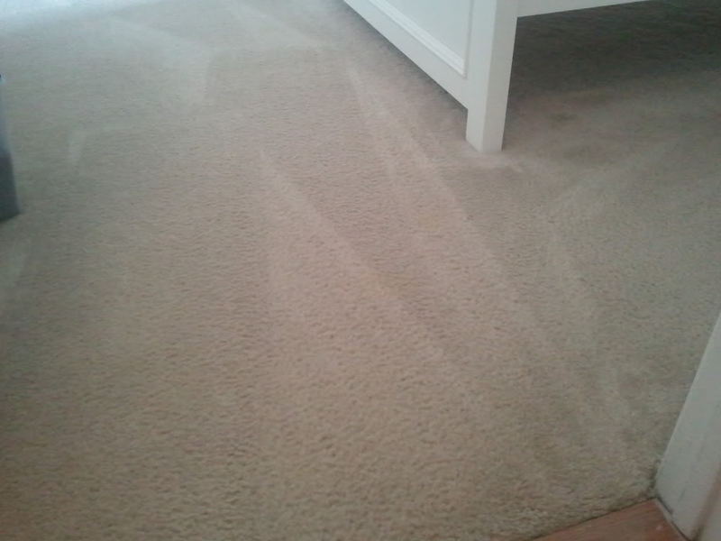 carpetbefore.jpg