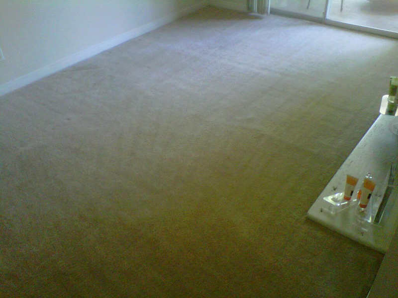 carpetcleaner2.jpg