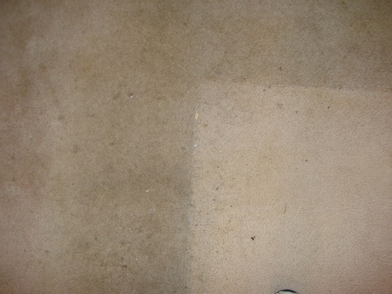 carpetcleaning003-1.jpg