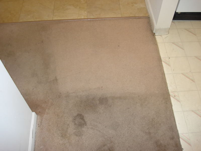 carpetcleaning006-1.jpg