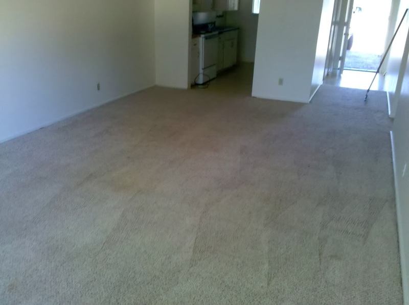 CarpetSaved003.jpg