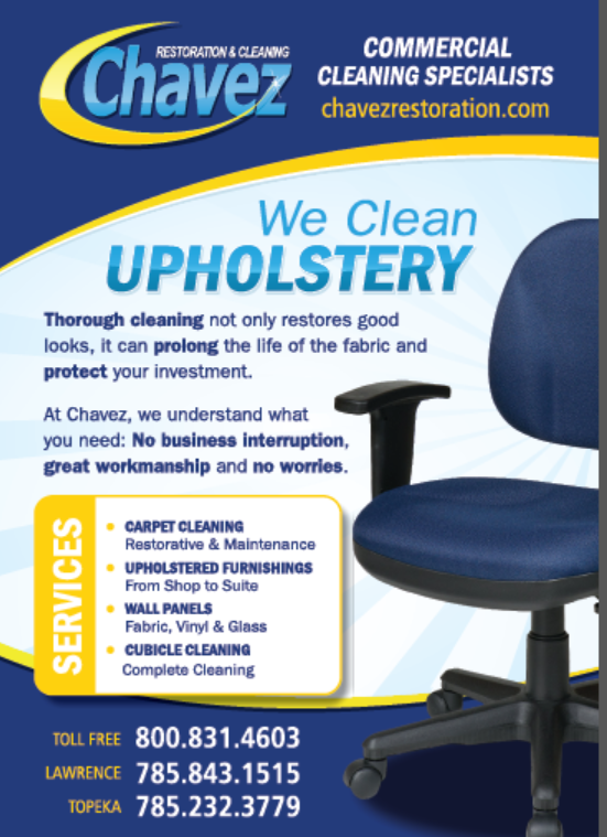 Chair%20Cleaning_zps0mf9ivhi.png