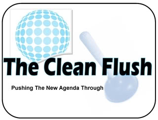 CleanFlush-1.jpg