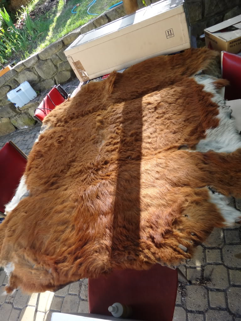 Cowhide-A5.jpg