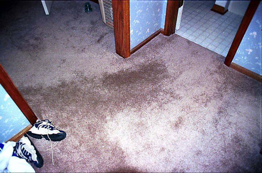 crimp loss 4.jpg