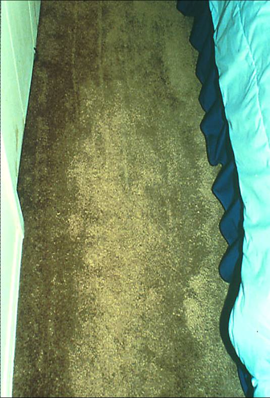 crimp loss1.jpg