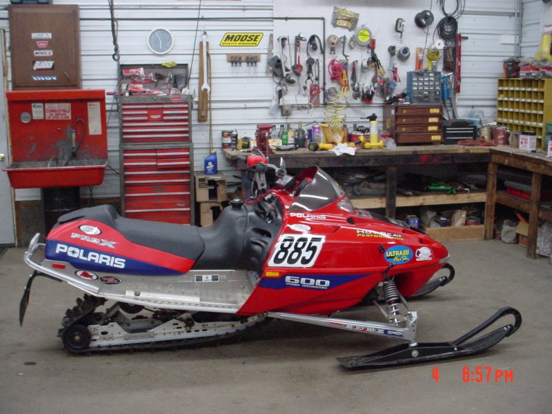 Daisy & Brutus, New sled & others 002.jpg