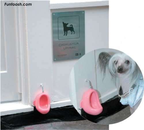 dog_urinal.jpg