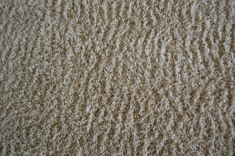 DSC_0091.jpg