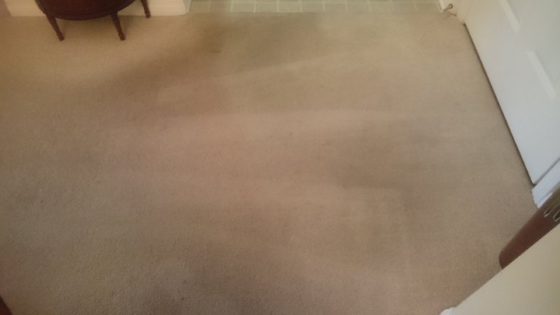 DSC_1414.JPG
