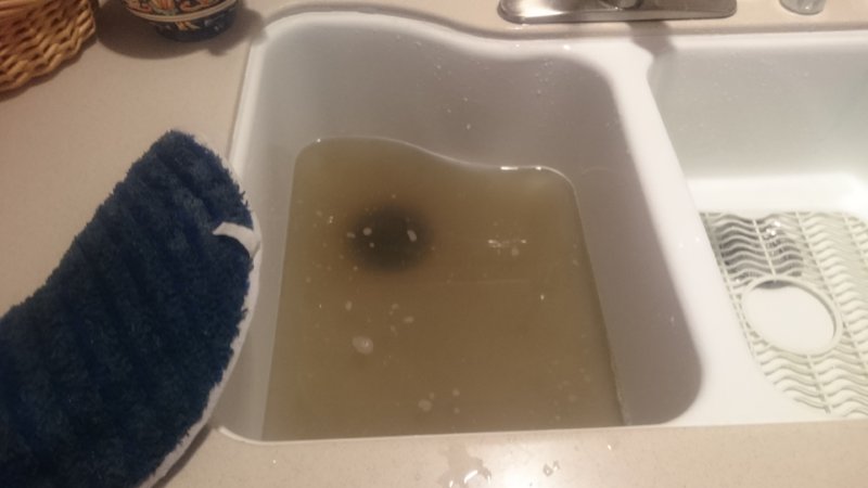 DSC_1427.JPG