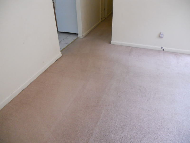DSCN0110.jpg