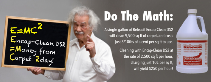 einstein-releasit-make-money-cleaning-carpet.jpg