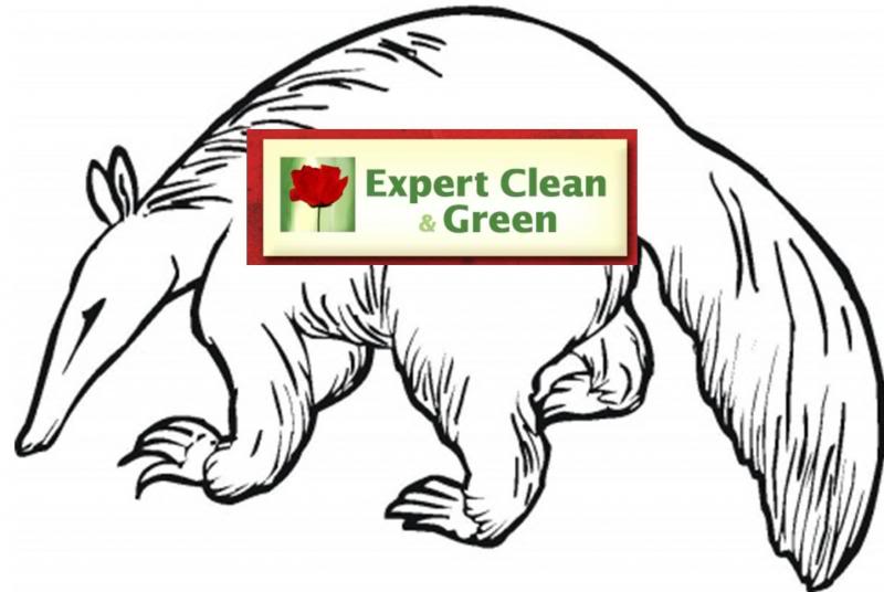 ExpertCleanGreen_zps49b7e16f.jpg