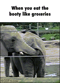 giphy.gif