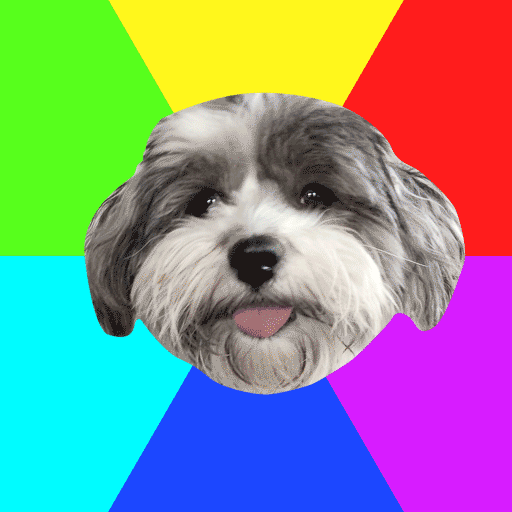 giphy.gif