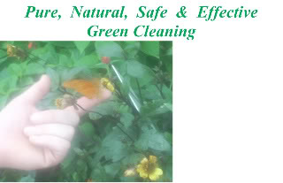 GreenCleaningPostcard.jpg