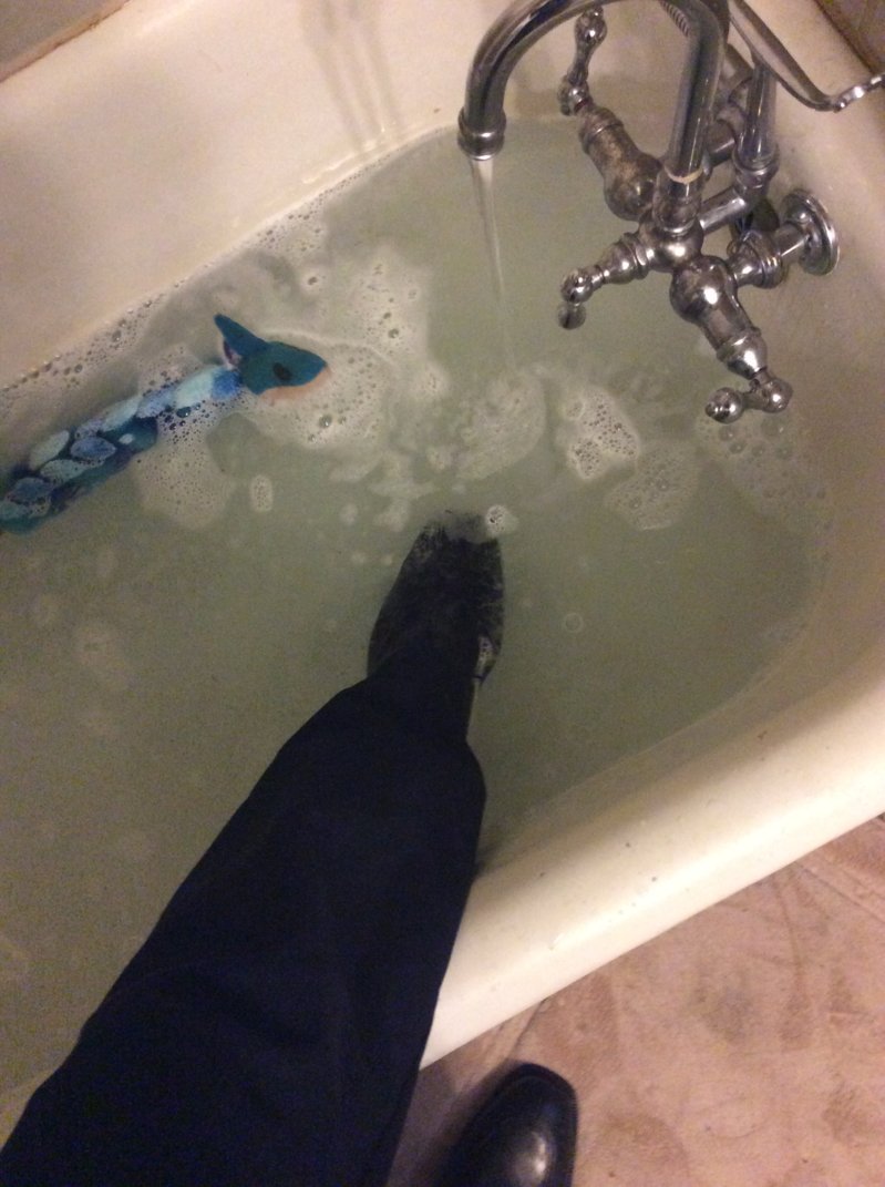 image.jpeg