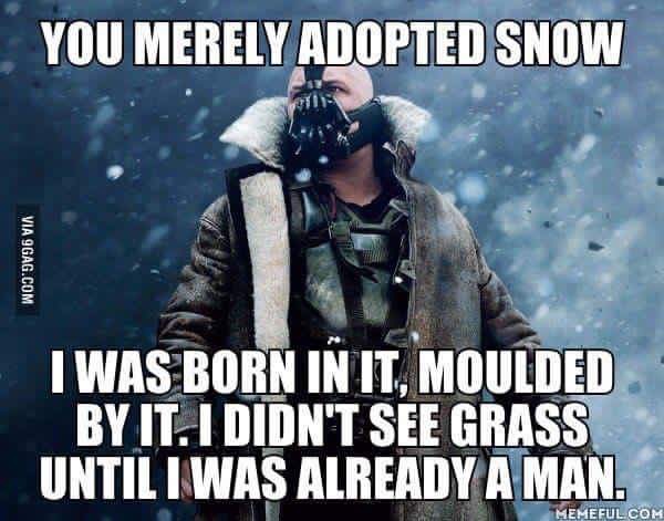 image.jpeg