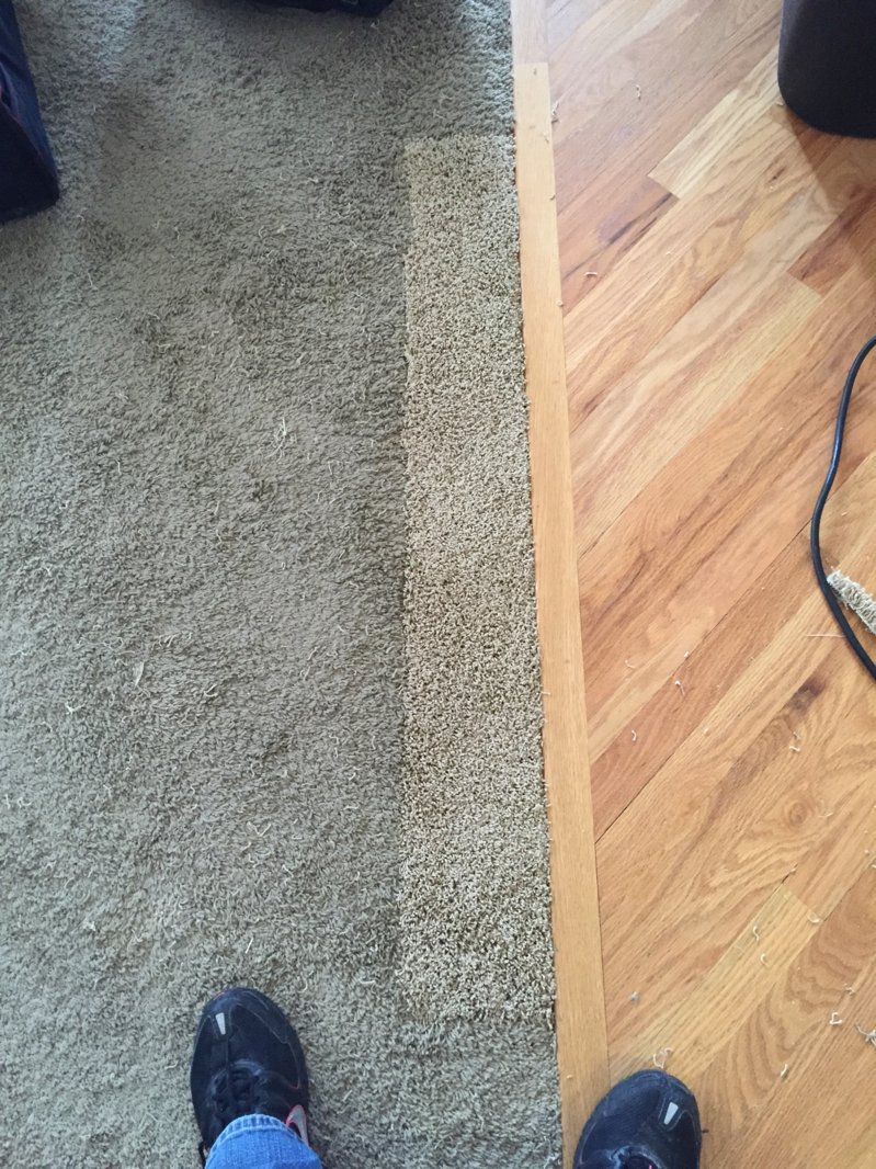 image.jpeg