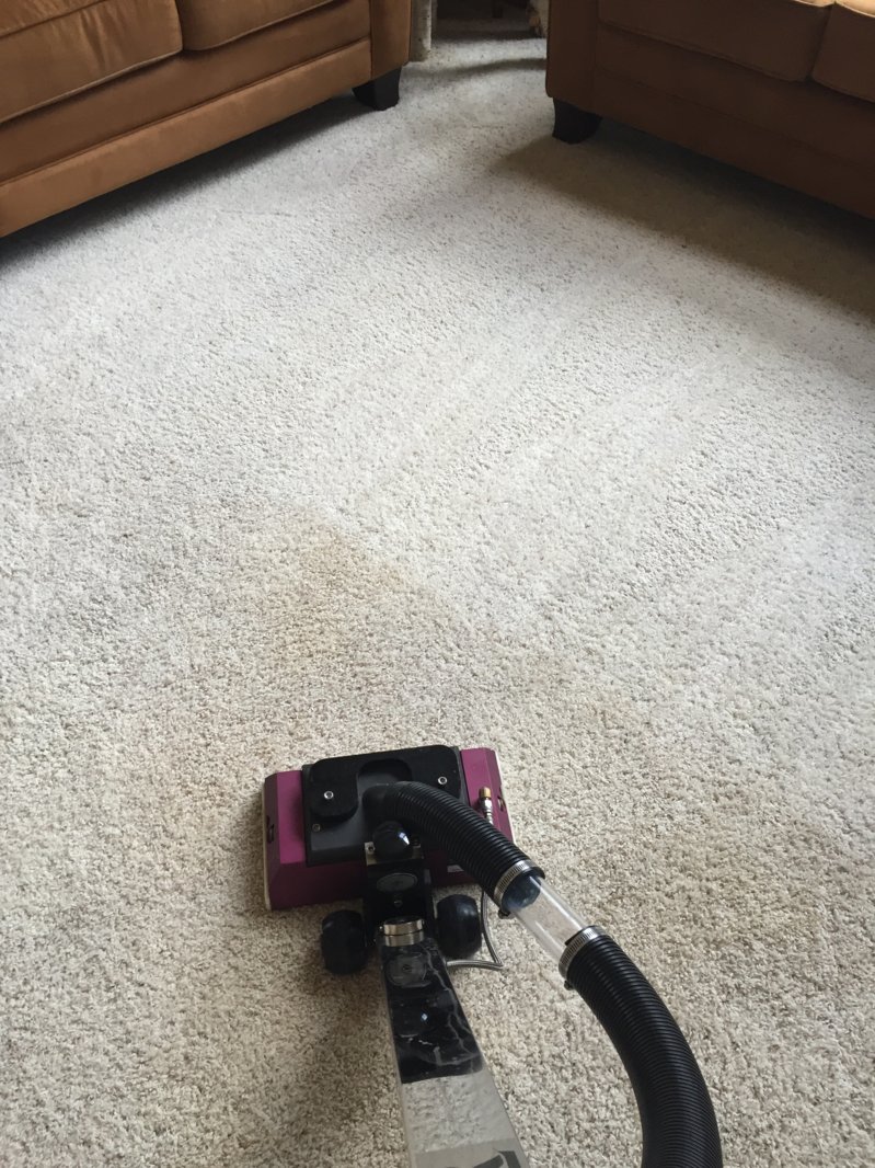 image.jpeg