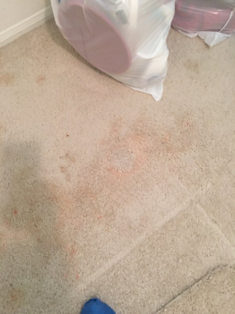 image.jpeg