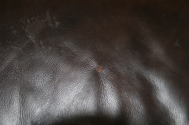 Usual Causes of Leather Damage & Their Fixes
