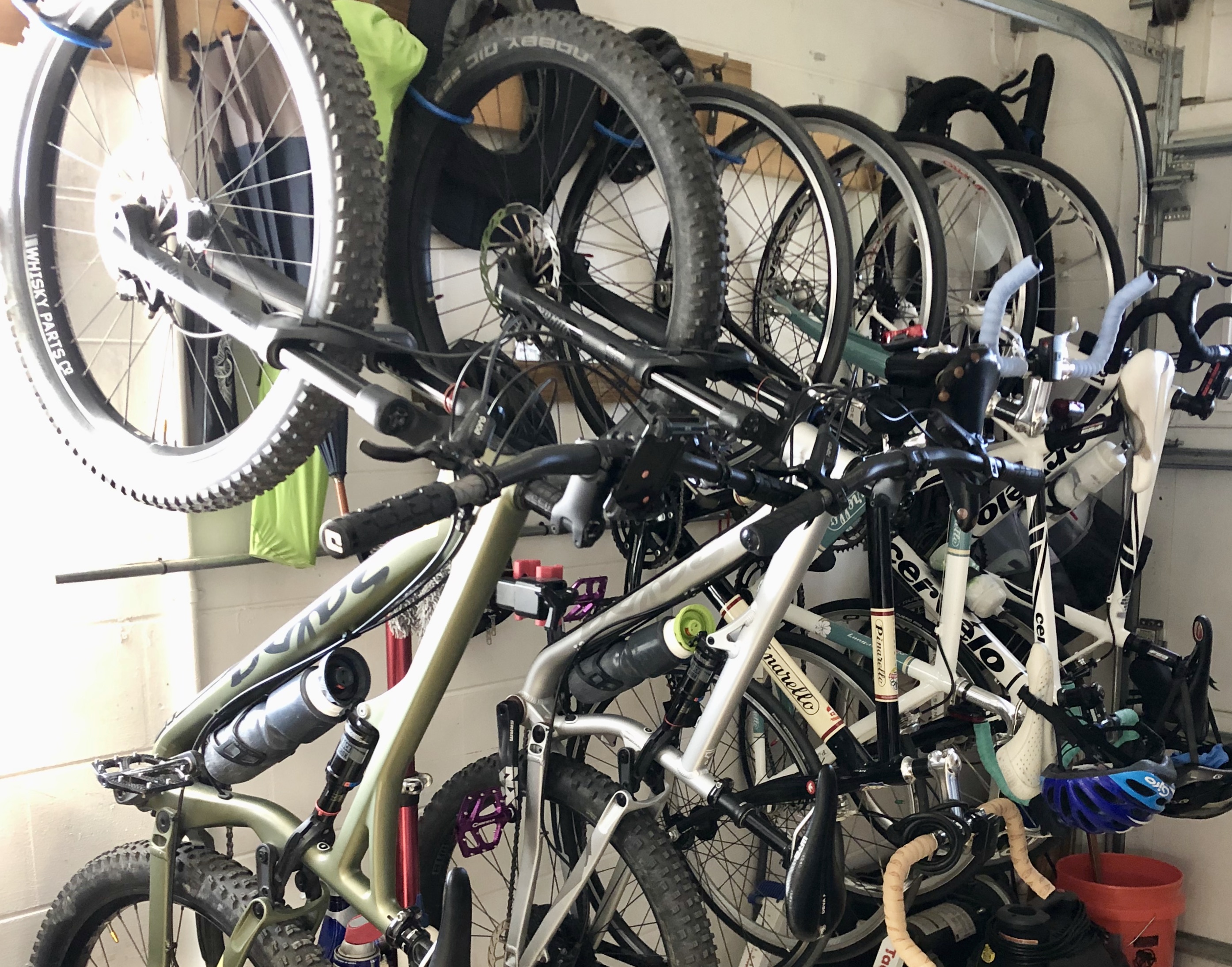 IMG_4032.jpeg IMG_4032.jpeg