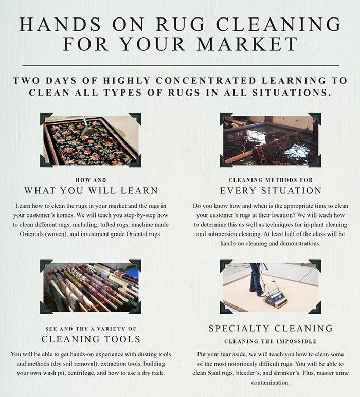 intro_rug_cleaning poster.jpg