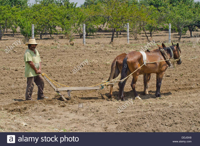 man-ploughing-a-field-using-a-traditional-plough-pulled-by-a-horse-DDJEK8_zpsp1v21qto.jpg