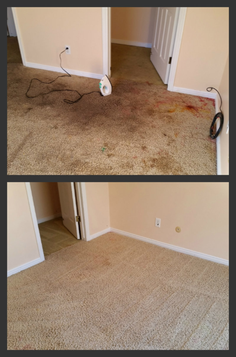 nasty carpet.jpg
