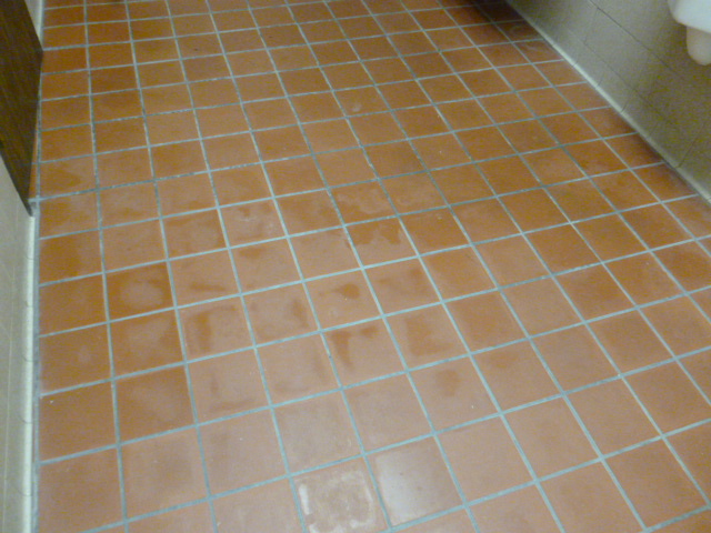 P1010147.JPG