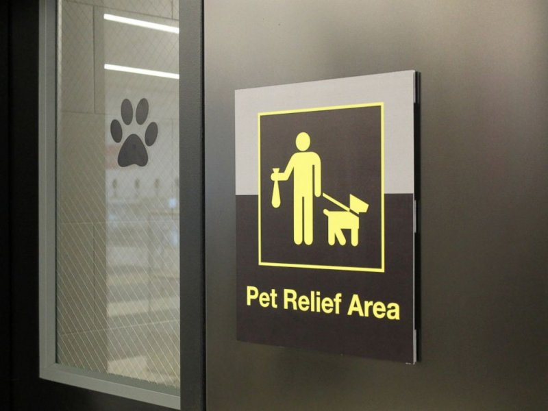 Pet Relief Area.jpg