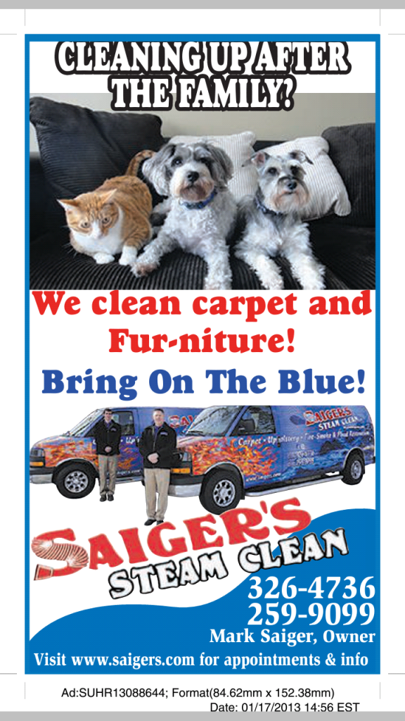 PuppiesandcatFurniture_zps15210cdc.png