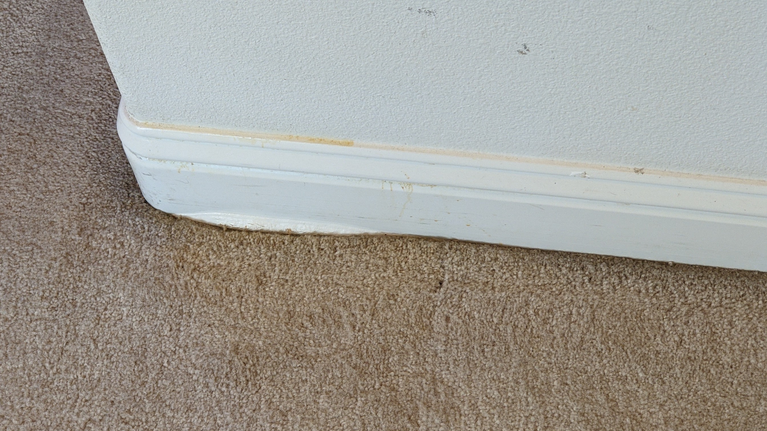 PXL_20201203_195443174.jpg
